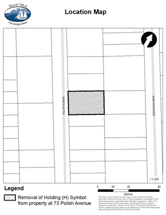 Location Map - 73 Polish Avenue